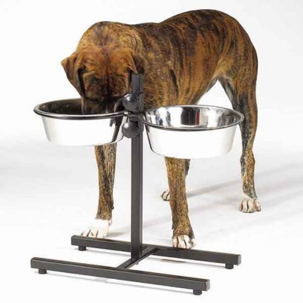 Dog drinking from a metal bowl on a raised stand with a white background