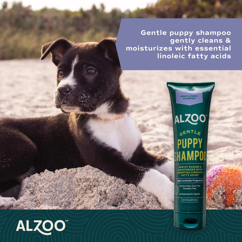 Dog lying on sand with ALZOO Gentle Puppy Shampoo tube next to it, featuring product details.