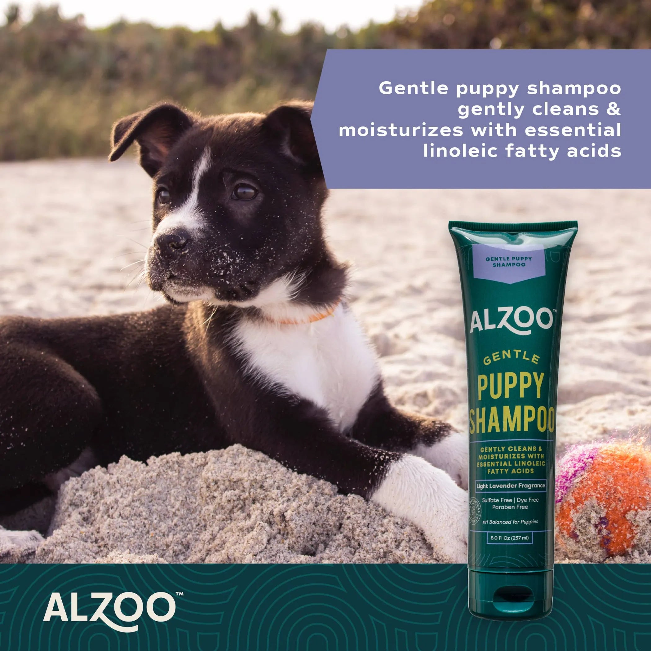 Dog lying on sand with ALZOO Gentle Puppy Shampoo tube next to it, featuring product details.