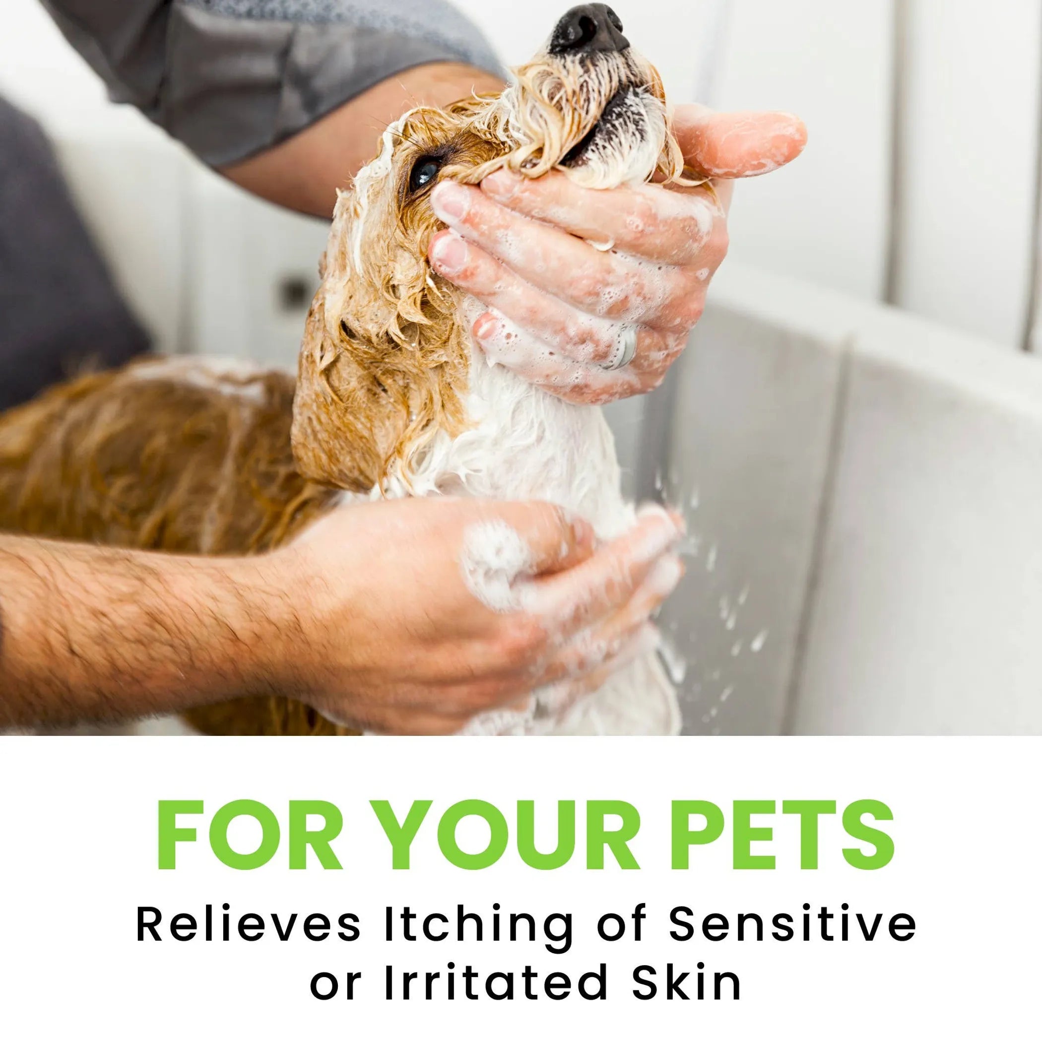 Person washing a dog with soap and water, with text 'FOR YOUR PETs Relieves Itching of Sensitive or Irritated Skin' at the bottom.