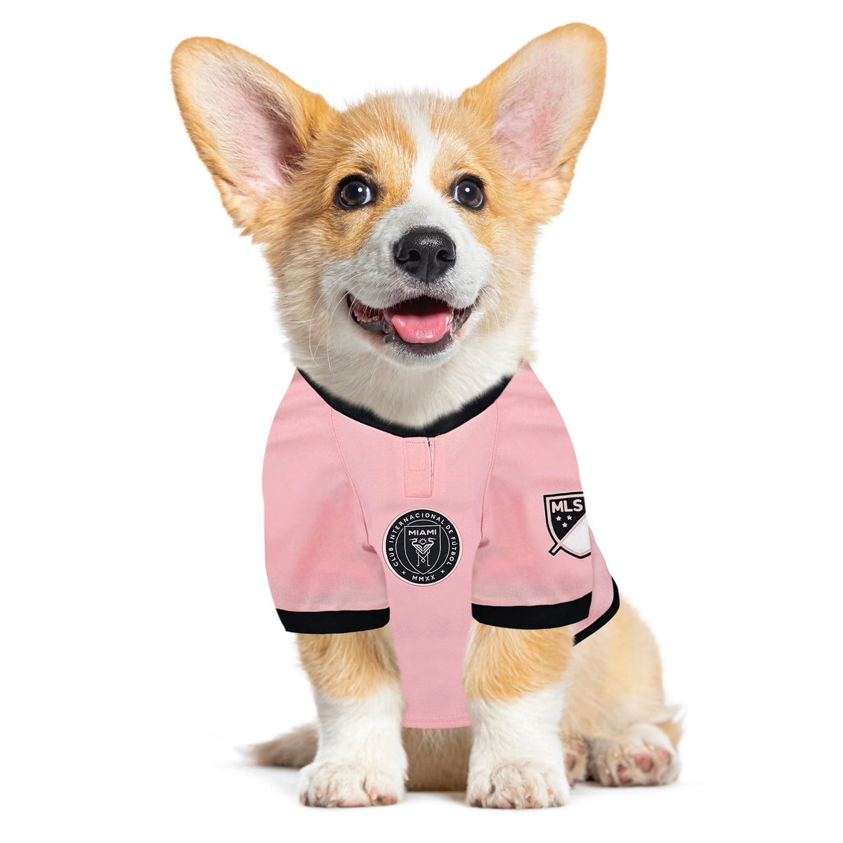 Lionel Messi Player Pet Jersey (IMC)