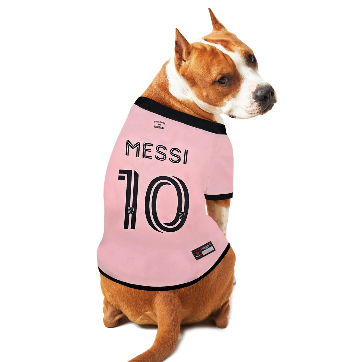 Lionel Messi Player Pet Jersey (IMC)