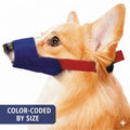 Dog wearing a color-coded muzzle with text 'Color-Coded by Size' on a white background
