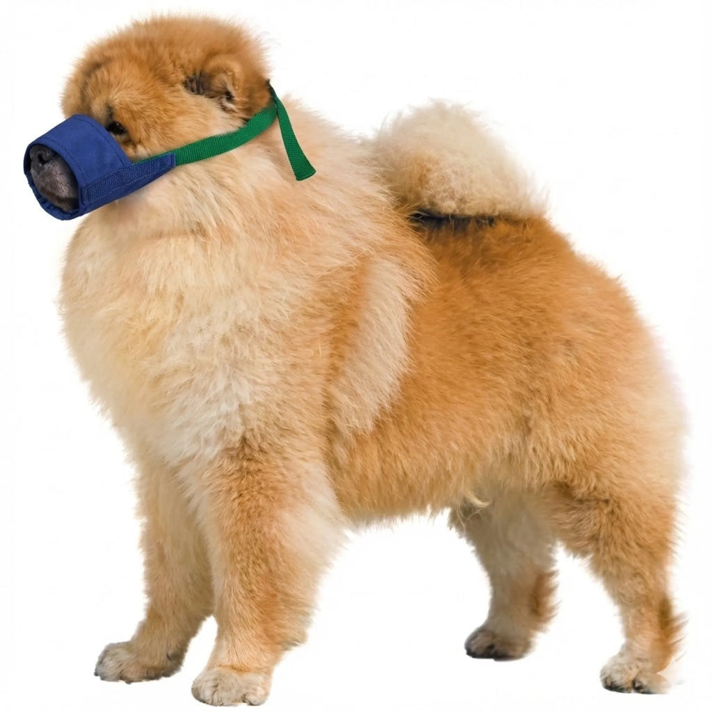 Dog wearing a blue muzzle with green strap on a white background