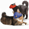 Two cats wearing red and blue muzzles on a white background