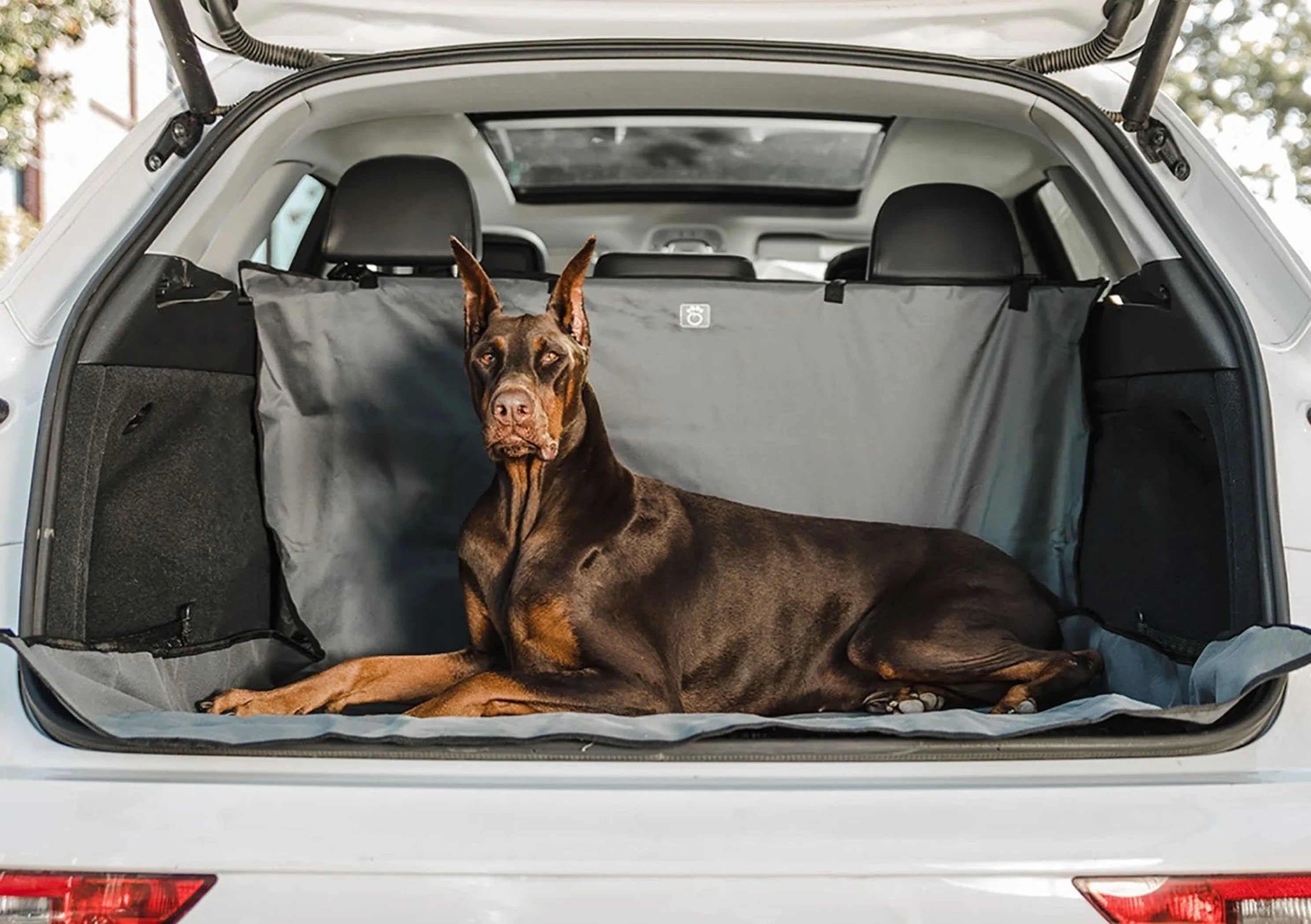 Dog lying on a car mat in the open trunk of a vehicle