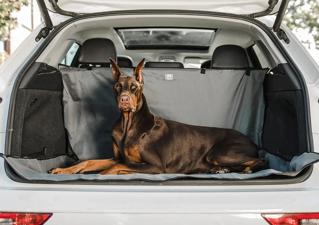 Dog lying on a car mat in the open trunk of a vehicle