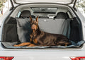 Dog lying on a car mat in the open trunk of a vehicle