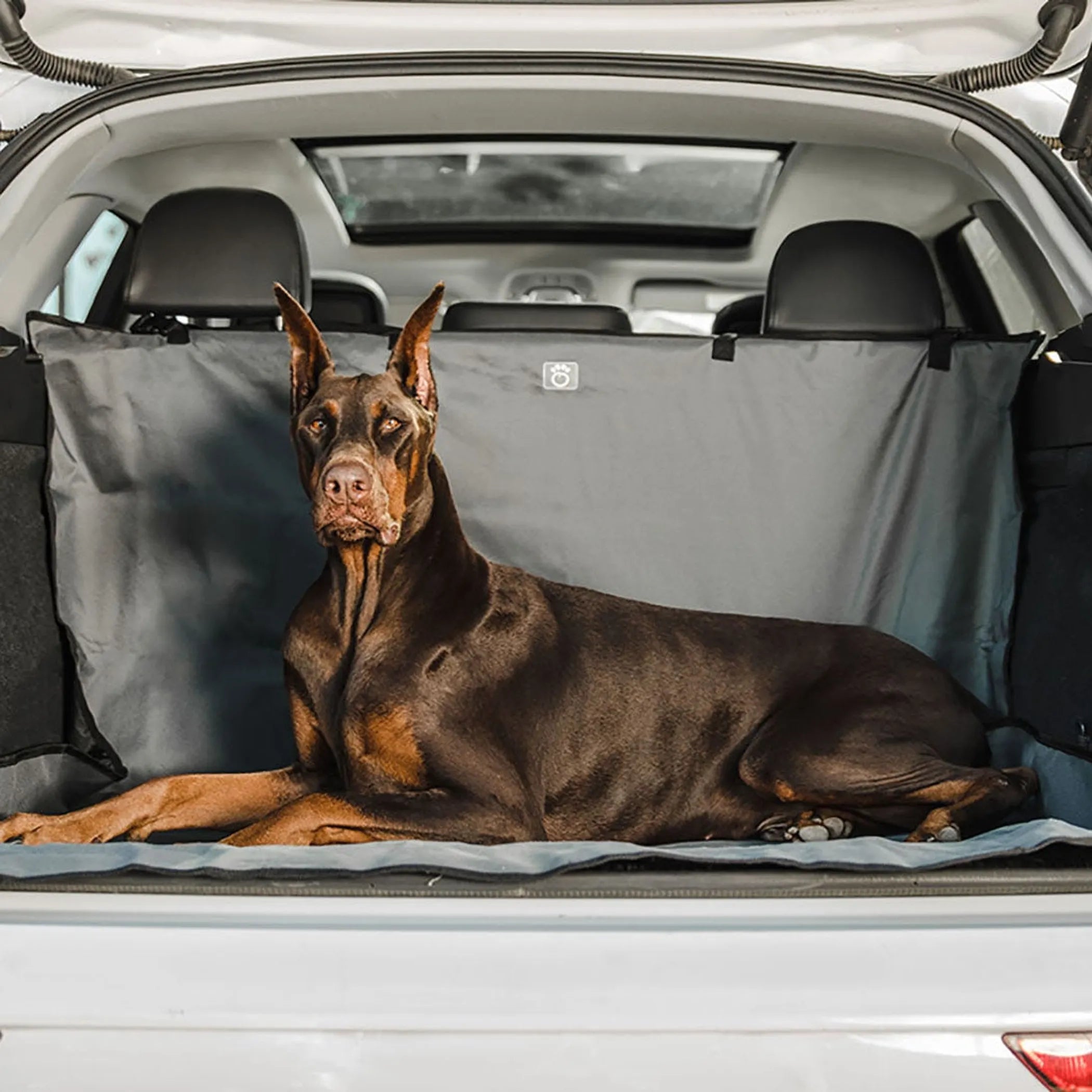 Dog lying on a car seat cover in the back of a vehicle